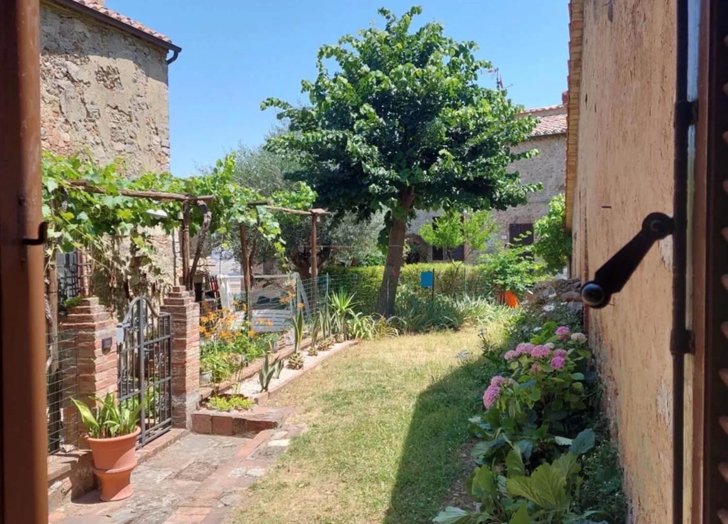 Le Stanze Del Ritrovino Apartment Castiglione d'Orcia